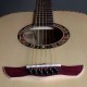 guitare 12 cordes