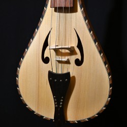 violon rebec 12 cordes