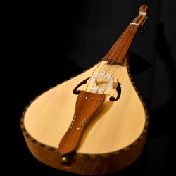 violon rebec 12 cordes fretless