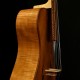 arpeggione d'amour