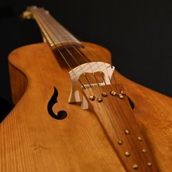 arpeggione d'amour