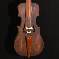 eden M fretless