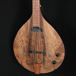 bouzouki électroacoustique