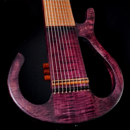 guitare 10 cordes électro