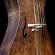 eden C (cello)