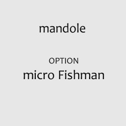 micro Fishman