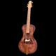arpeggione