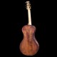 arpeggione
