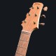 arpeggione