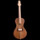 arpeggione