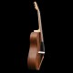 arpeggione