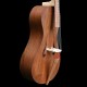 arpeggione