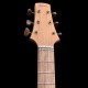 arpeggione