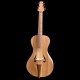 arpeggione