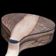 cistre 10 cordes