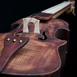eden M 3 cordes