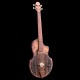 microbasse sur cône