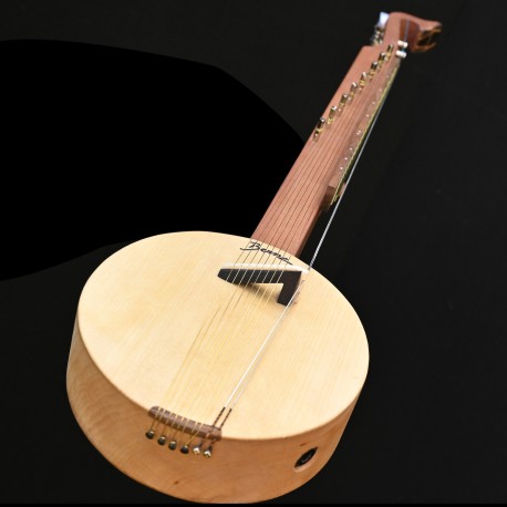 autour du erhu avec 8 cordes sympathiques