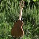 ukulele