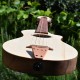 ukulele