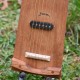 tambour à cordes et à pied
