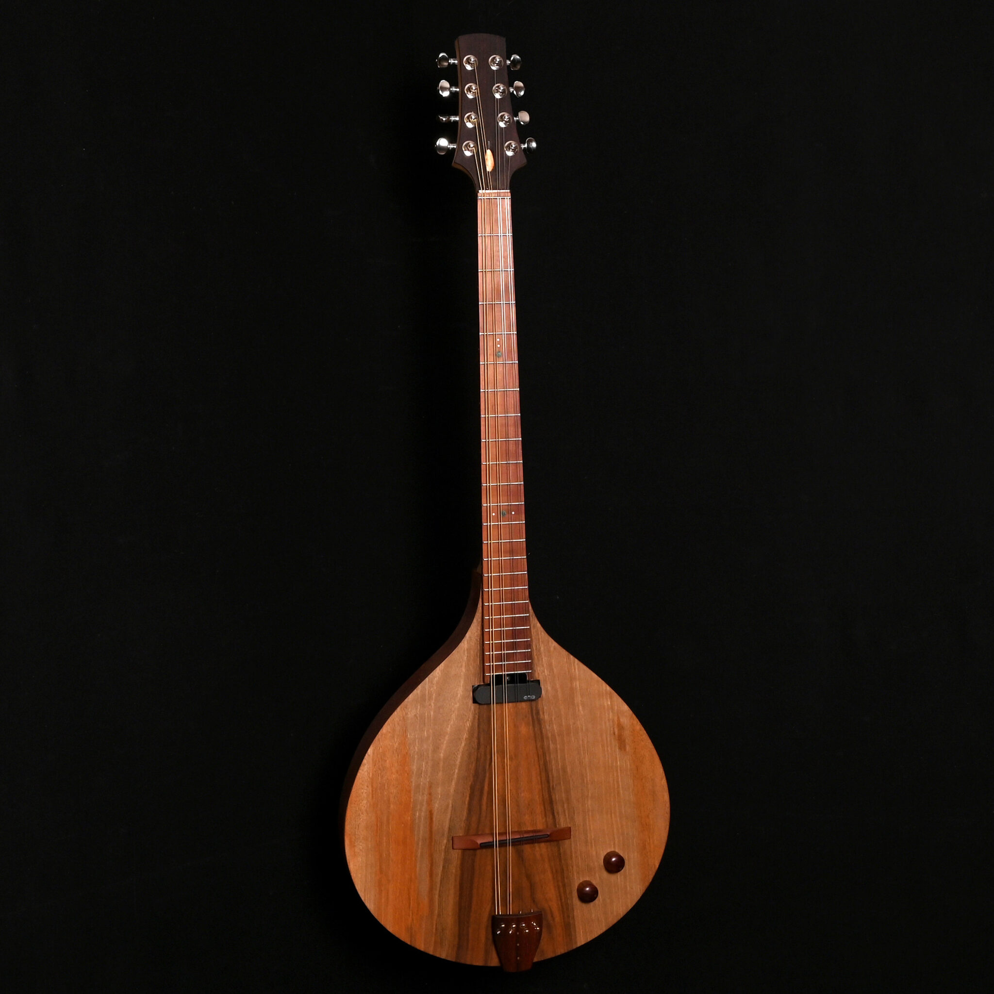Electro bouzouki Atelier de lutherie Philippe Berne