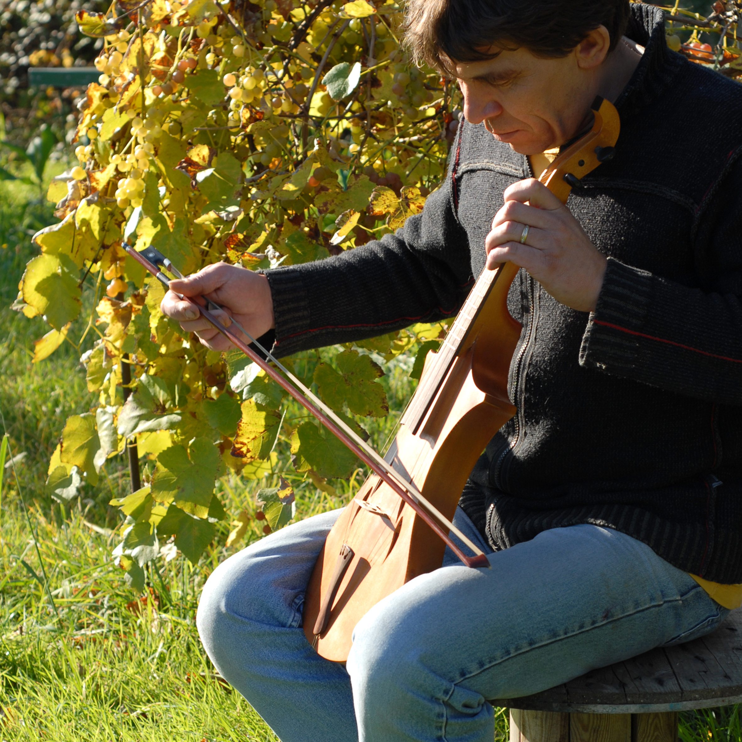 Vièle à archet – Atelier de lutherie Philippe Berne